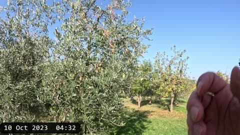 GX010406.MP4