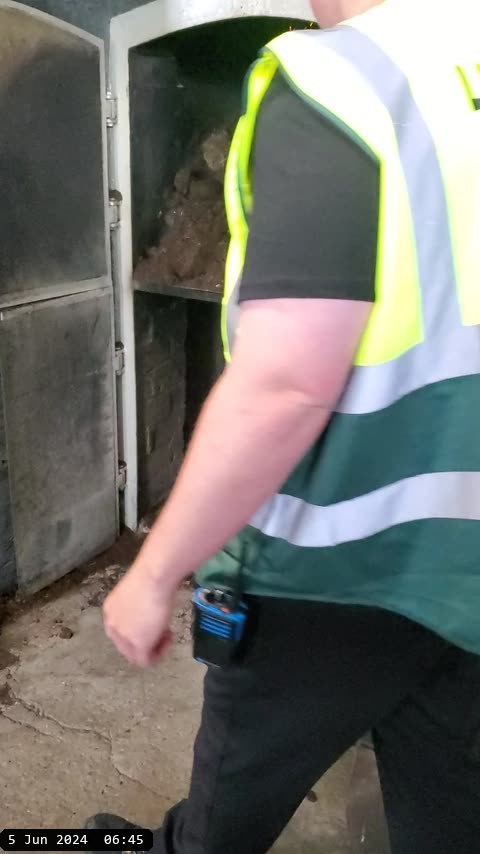 20240605_114541.mp4