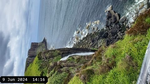 20240609_141644.jpg