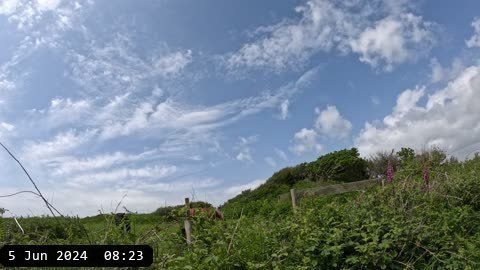 GX010172.MP4