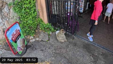 GX010096.MP4